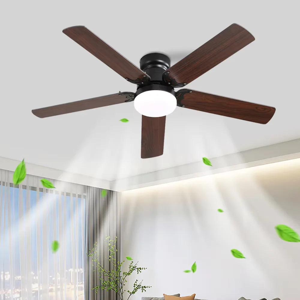 Ceiling fan