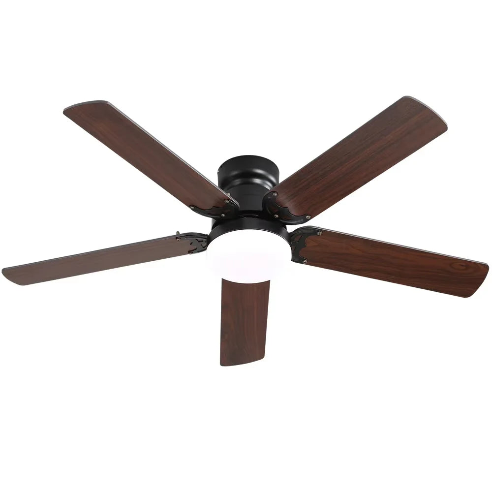 Ceiling fan