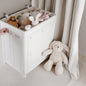 Collapsible Storage Box