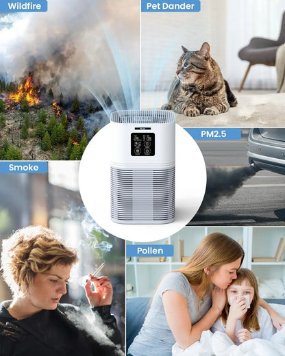 2 in 1 Air Purifier,  Air Cleaner