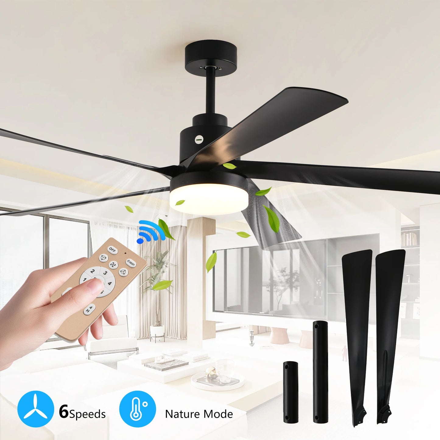 Black Ceiling Fan