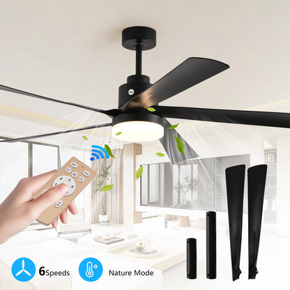 Black Ceiling Fan