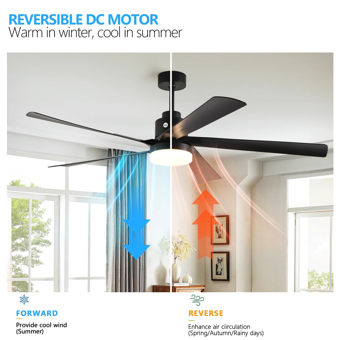 Black Ceiling Fan