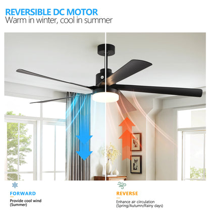 Black Ceiling Fan