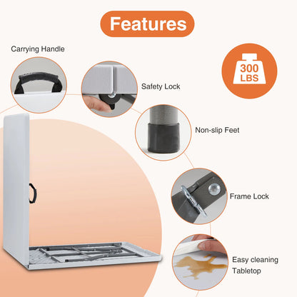 Portable Folding Table