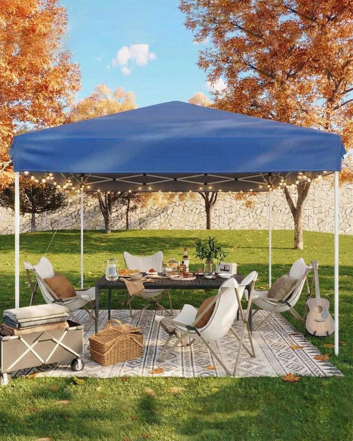 10x10ft Pop Up Canopy