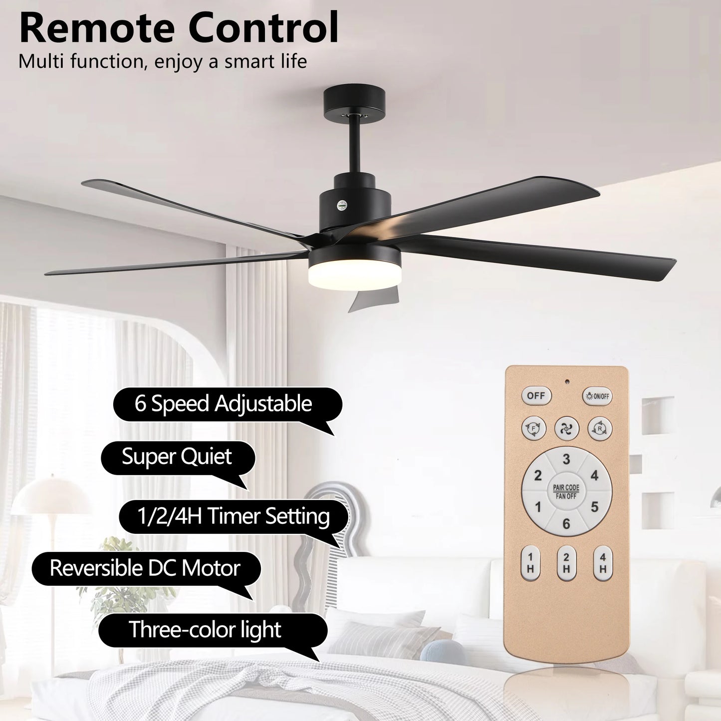 Black Ceiling Fan