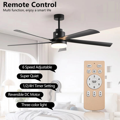 Black Ceiling Fan
