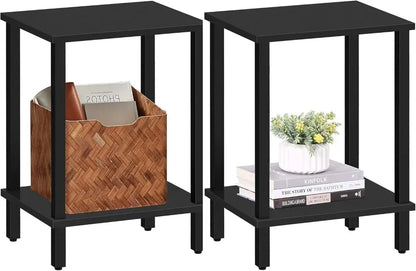 2-Tier Storage Shelf