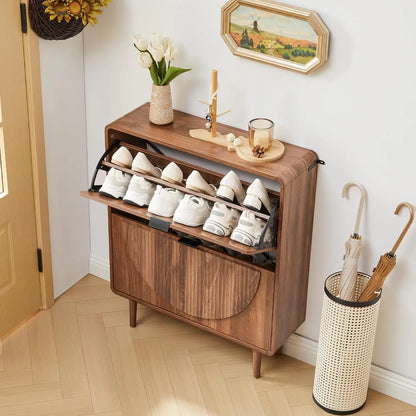 Modern Shoe Storage Cabinet