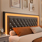 Queen LED Platform Bed Frame