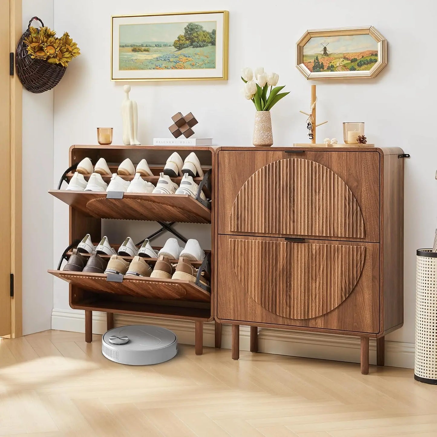 Modern Shoe Storage Cabinet