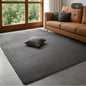 Modern Coral Velvet Carpet