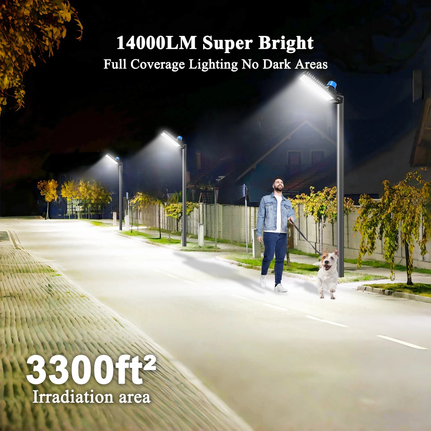 Outdoor Lighting