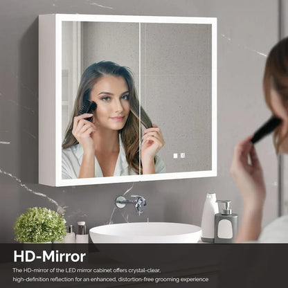 Lighted Medicine Cabinet with Mirror