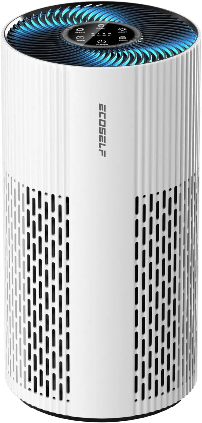 Large Room Air Purifier