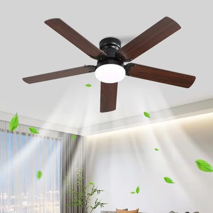 Ceiling fan