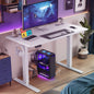 Workstation--Electric Standing Desk