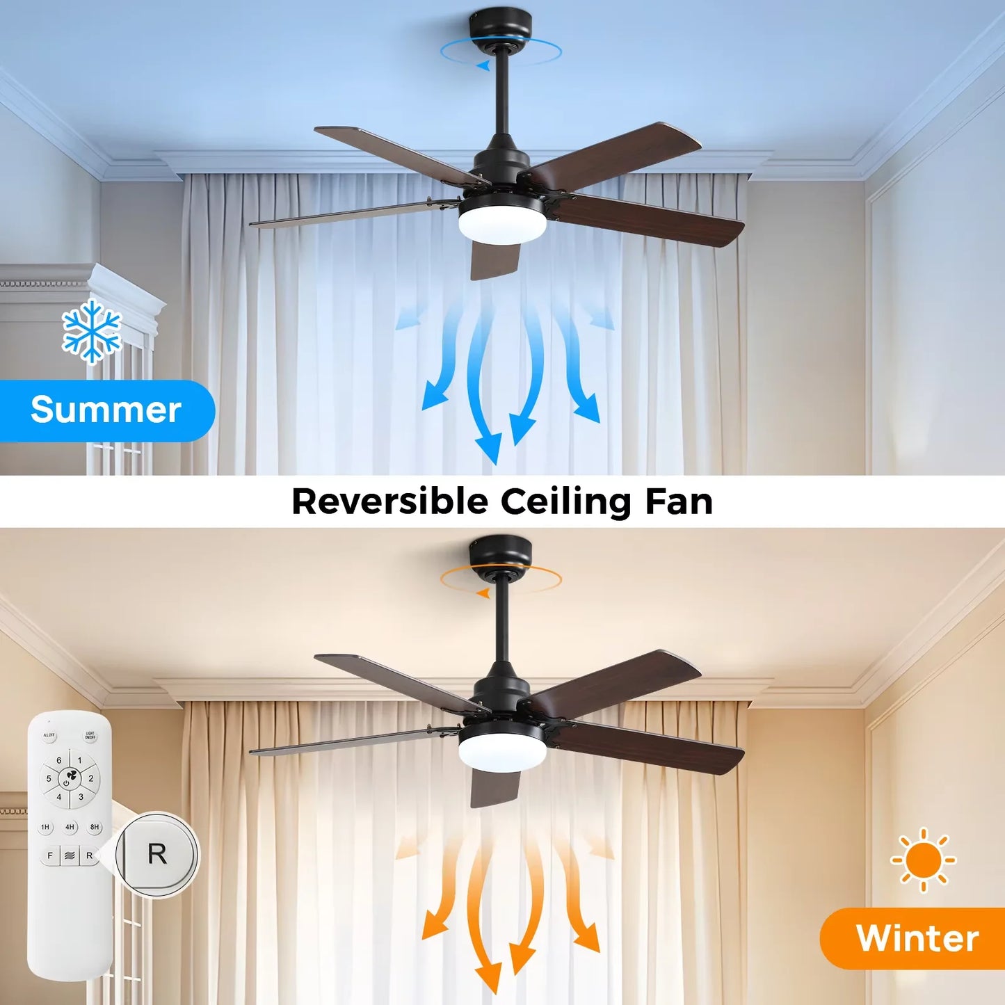 Ceiling fan