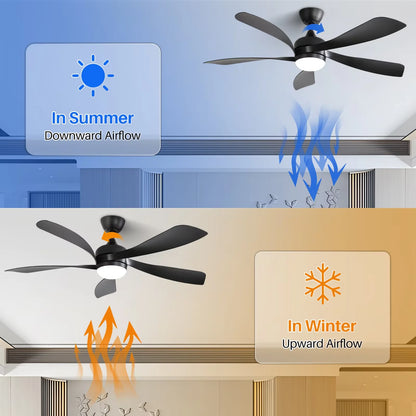 Blade Modern Ceiling