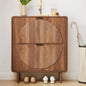 Modern Shoe Storage Cabinet