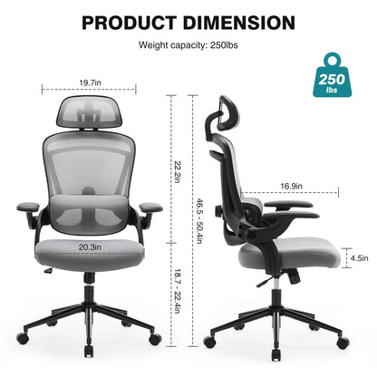 Adjustable Lumbar Support Office Chair