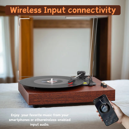 Record Player Vinyl Spinner