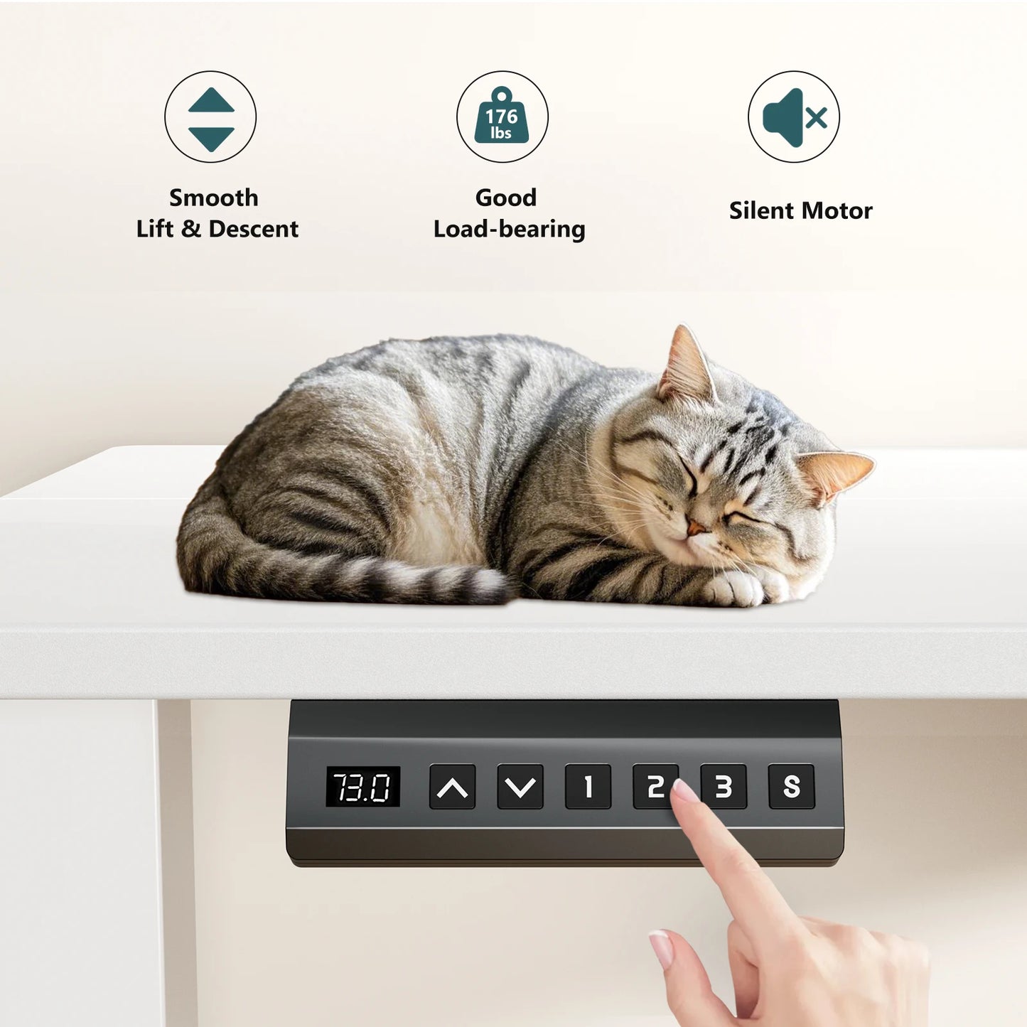 Workstation--Electric Standing Desk