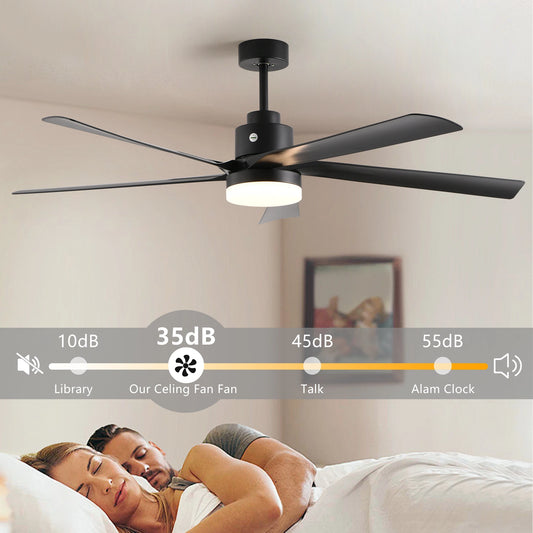 Black Ceiling Fan