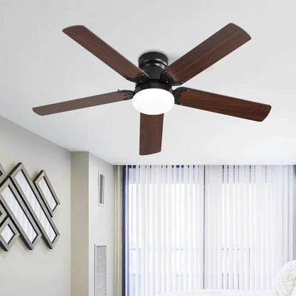 Ceiling fan