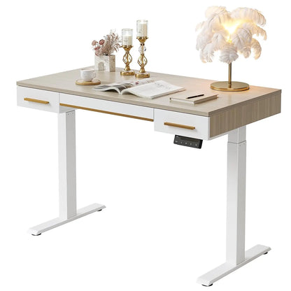 Electric Standing Desk