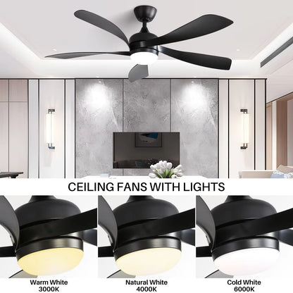 Blade Modern Ceiling