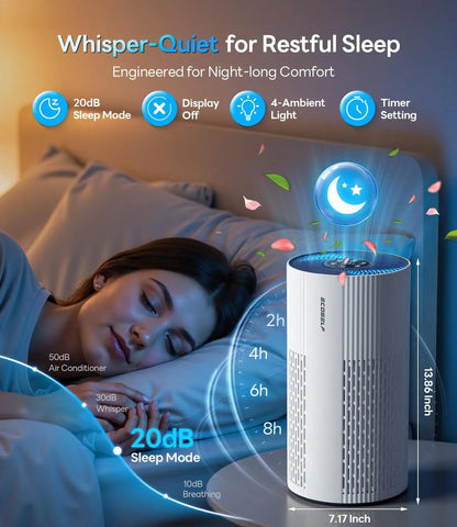 Large Room Air Purifier