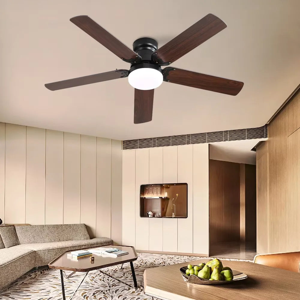Ceiling fan