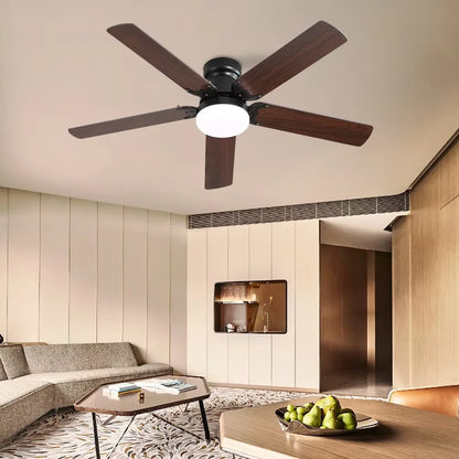 Ceiling fan