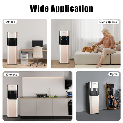 Bottom Load Water Dispenser