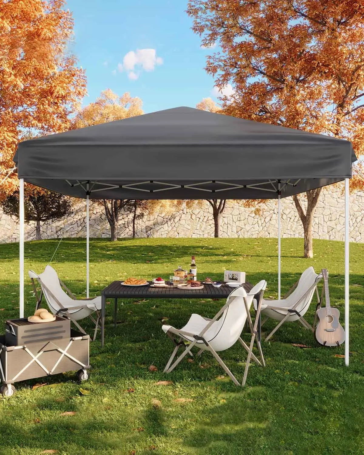 10x10ft Pop Up Canopy