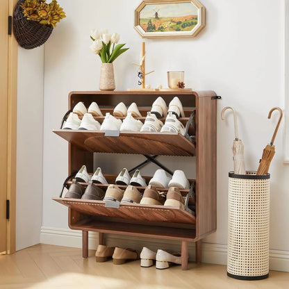 Modern Shoe Storage Cabinet