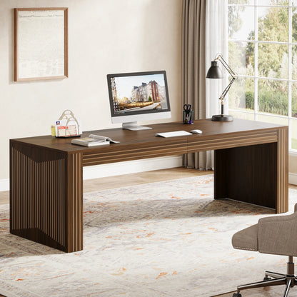 Two Person Double Desk