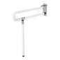Toilet Handle Disabled  Wall Grab Bar