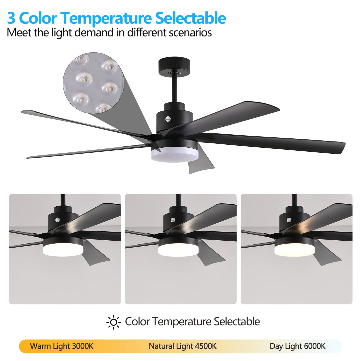 Black Ceiling Fan